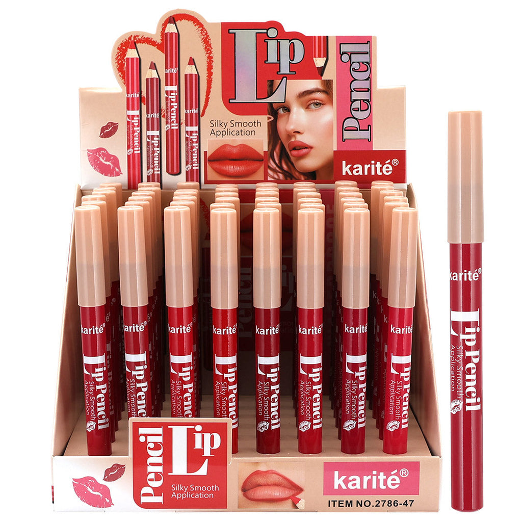 Lápiz 🖍️ labios