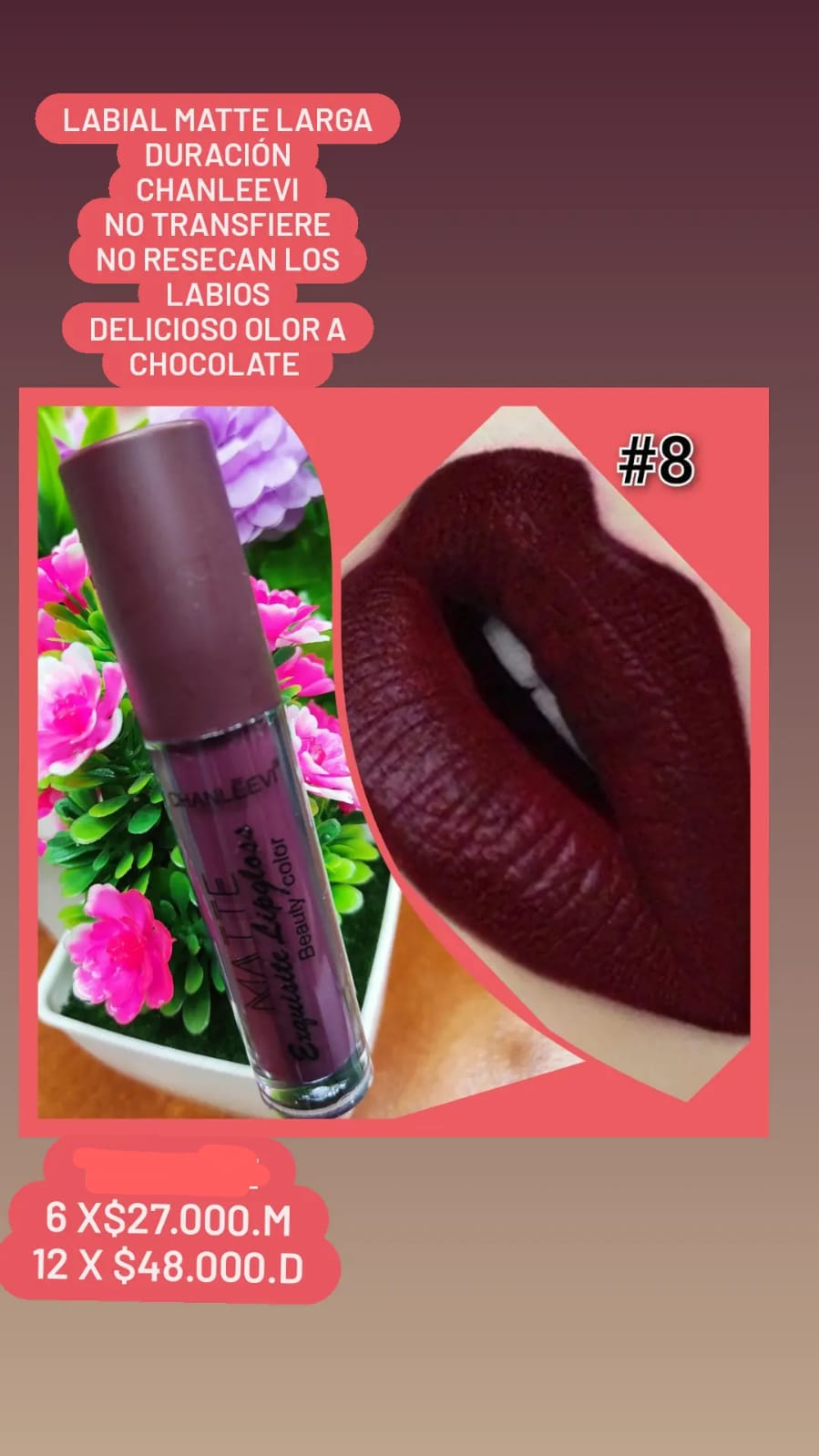 LABIAL MATTE CHANLAEEVI
